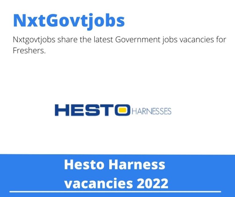 Hesto Harness Industrial Engineer Vacancies In KwaDukuza 2022