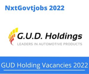 Apply Online for GUD Holdings Buyer Jobs 2022 @gudholdings.co.za