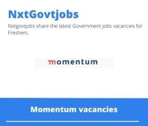 Momentum Chronic Benefit Consultant Vacancies in Durban 2022 Apply Now