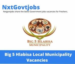 Big 5 Hlabisa Local Municipality Library Assistants Vacancies in Durban 2023
