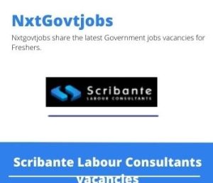 Scribante Labour Consultants Sales Engineer Vacancies in Pietermaritzburg 2023