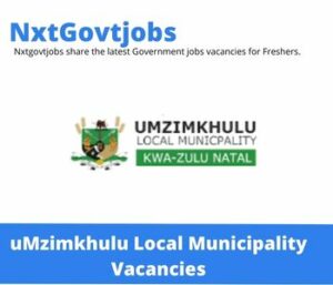 uMzimkhulu Local Municipality Infrastructure and Engineering Director Vacancies in Durban 2023