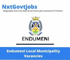 Endumeni Municipality Pmu Manager Vacancies in Durban – Deadline 05 May 2023
