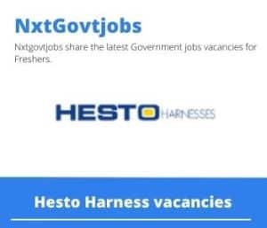Hesto Harness Engineering Change Controller Vacancies in Durban – Deadline 27 Oct 2023