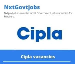 Cipla Production Pharmacist Vacancies in Durban – Deadline 05 May 2023
