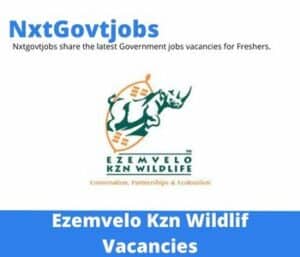 Ezemvelo Kzn Wildlife Park Support Ecologist Vacancies in Pietermaritzburg – Deadline 25 Aug 2023