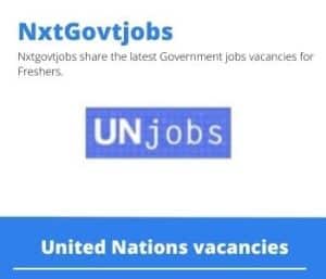 United Nations Senior Mobilizer Vacancies in Durban- Deadline 17 May 2023