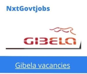 Gibela Maintenance Technician Vacancies in Durban – Deadline 15 Jan 2024