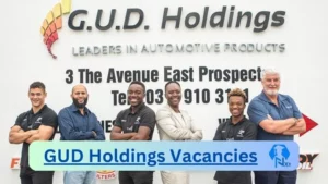 GUD Holdings General Ledger Supervisor Vacancies in Durban